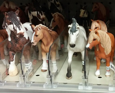 Miniature Horses